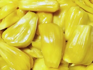 Jack Fruit