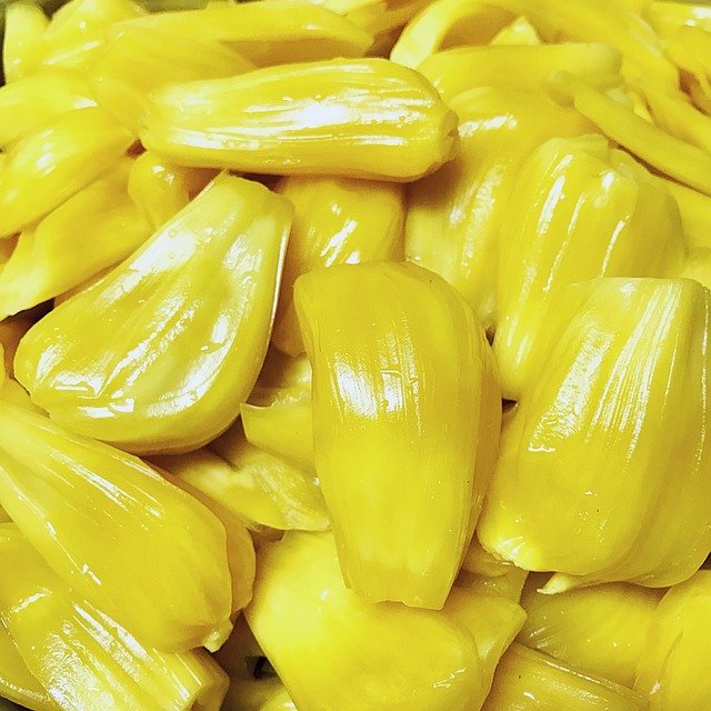 Jack Fruit