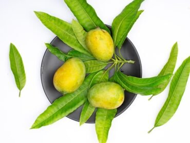 Mango Benefits Tamil