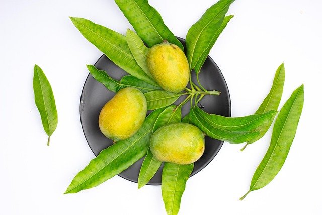 Mango Benefits Tamil