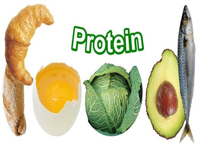 Protein Benefits Tamil